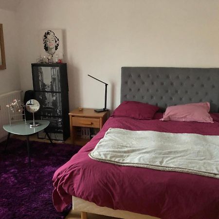 3 Chambres Chez Particulier Pour Les 24H Du Mans 勒芒 外观 照片
